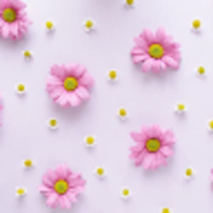 Meet your Posher, Vickie